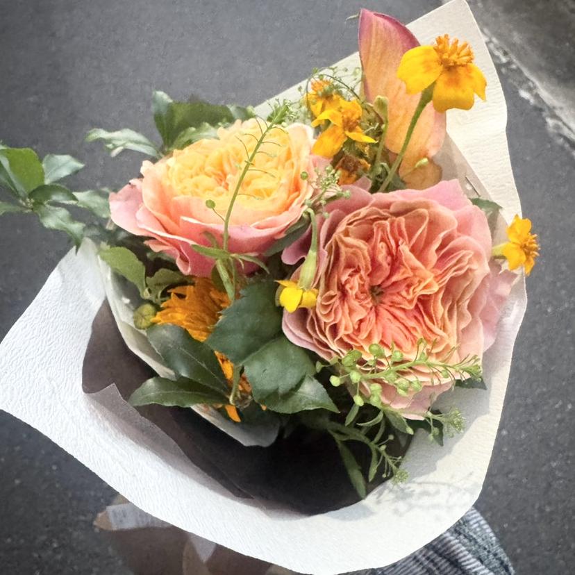 Eight  Eye yumaの掲載