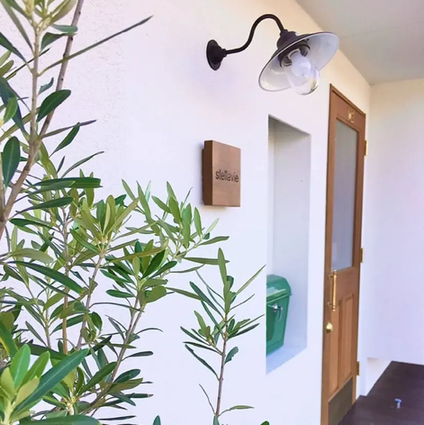 🌳 Rinaの掲載