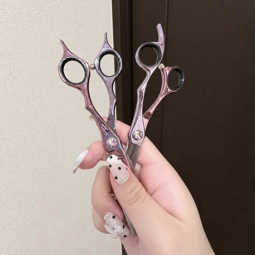 宮崎 瑠梨の掲載