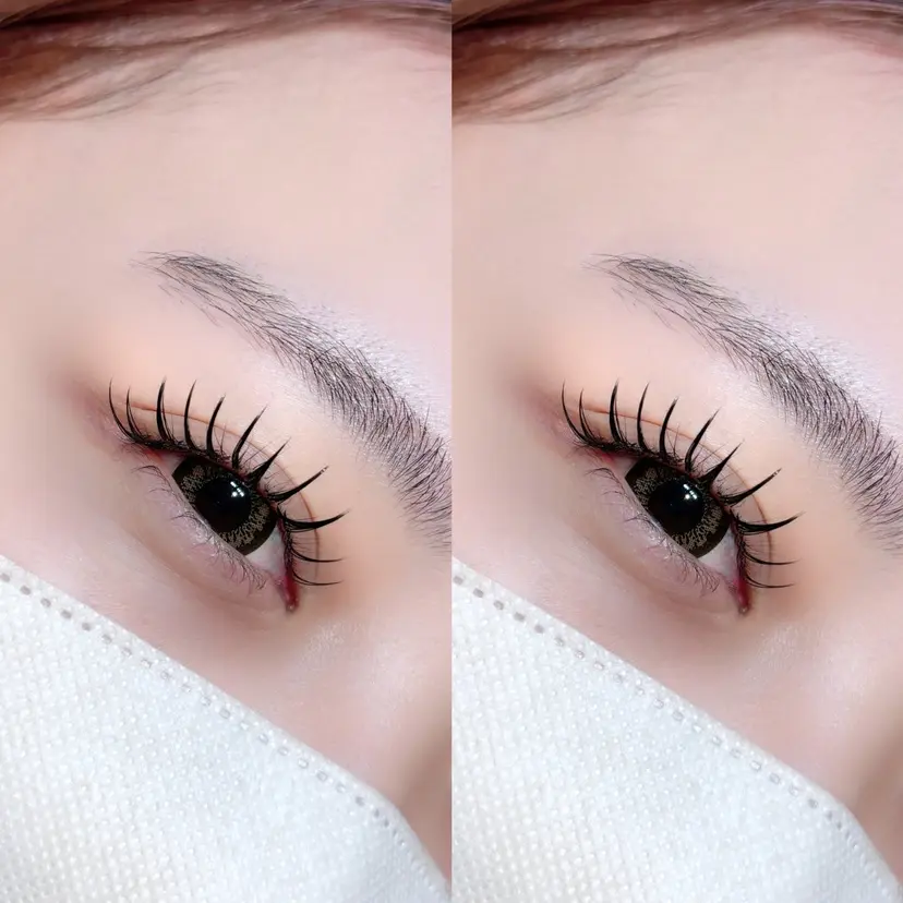 bia senaの掲載