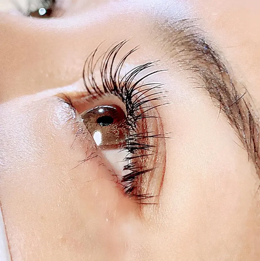 Eyelash Nappの掲載