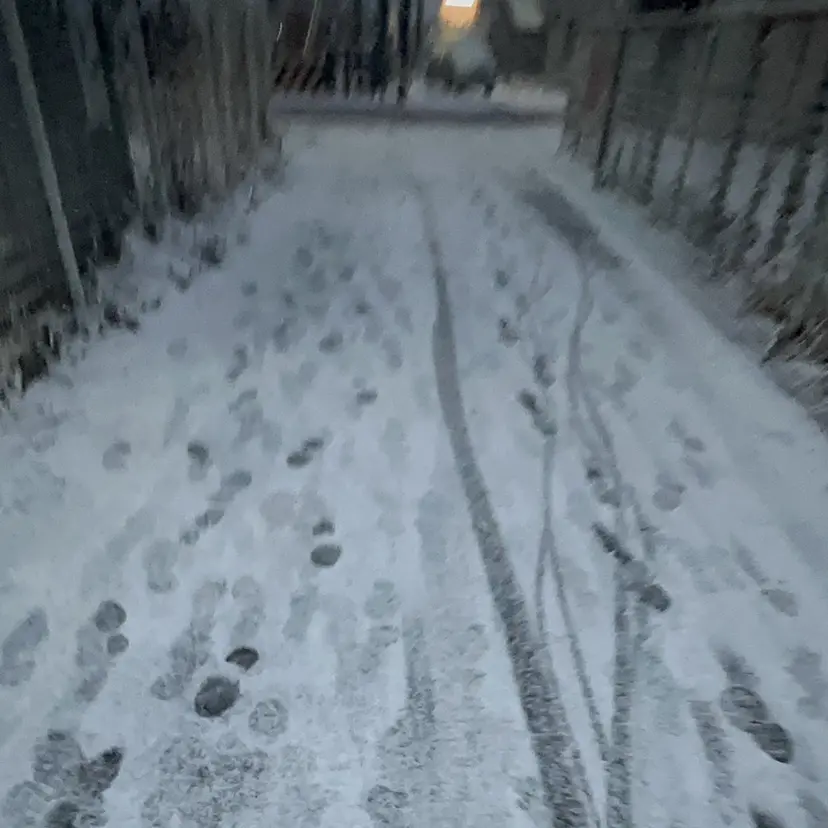 谷田部 紗和の掲載