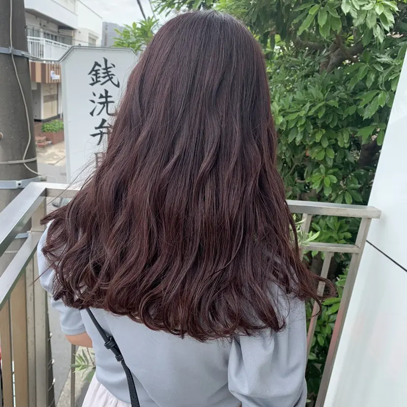 今泉 蘭の掲載