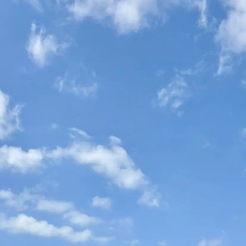 mari 🦋の掲載