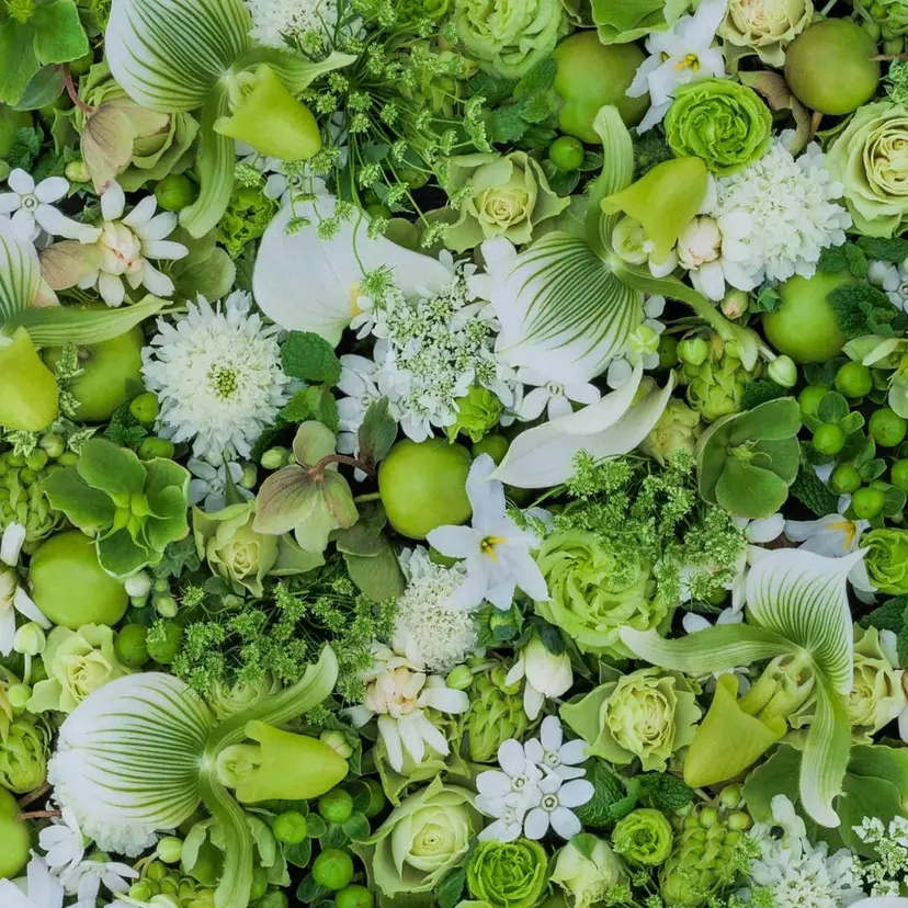 肌分析×毛穴 ツヤ肌エステTomiの掲載
