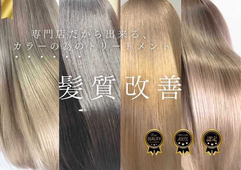 井上 樹の掲載
