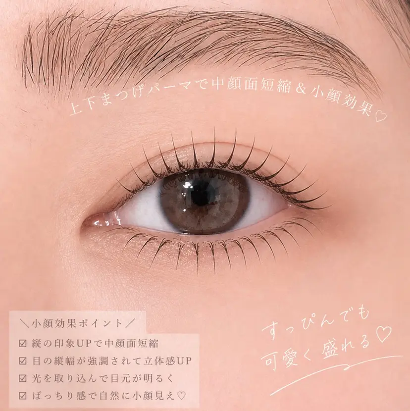 タケダ ハナの掲載
