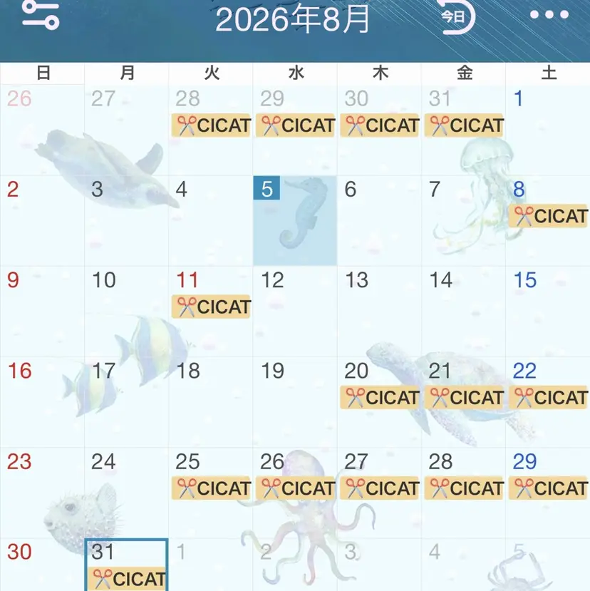 カットカラー/鎌倉 縮毛矯正/大空の掲載