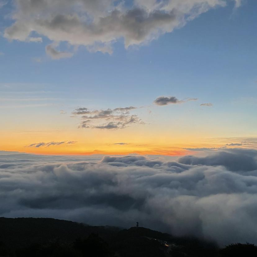 原島 心夢の掲載