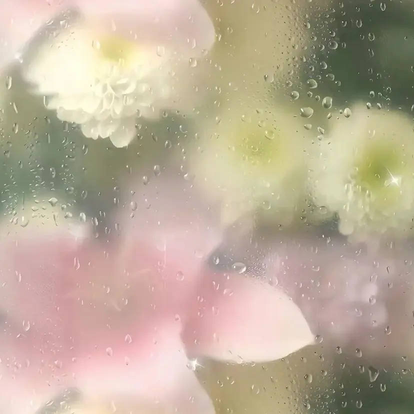 油井 緋織の掲載