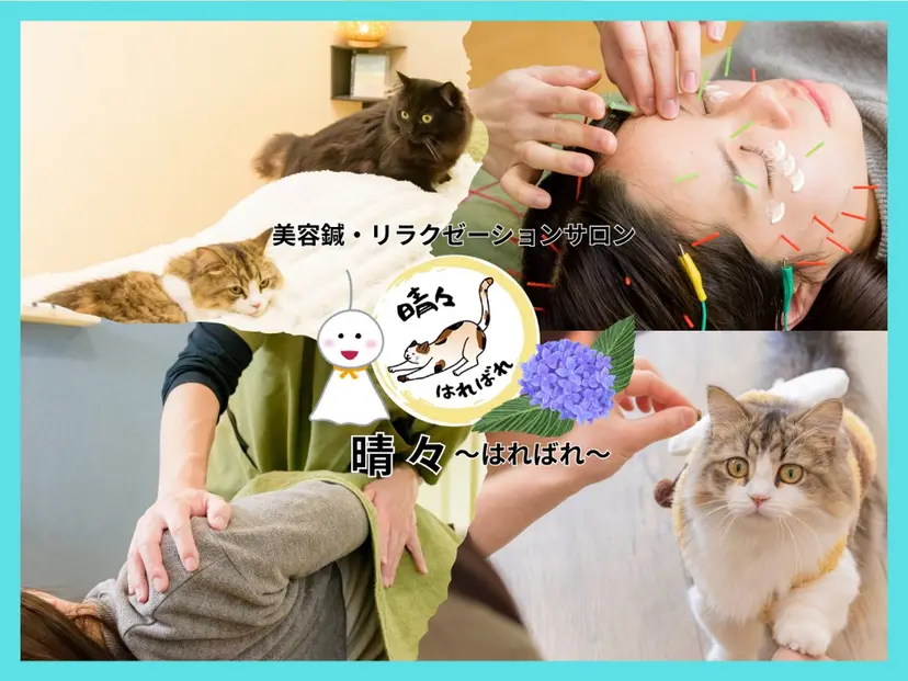 清水 茜音の掲載