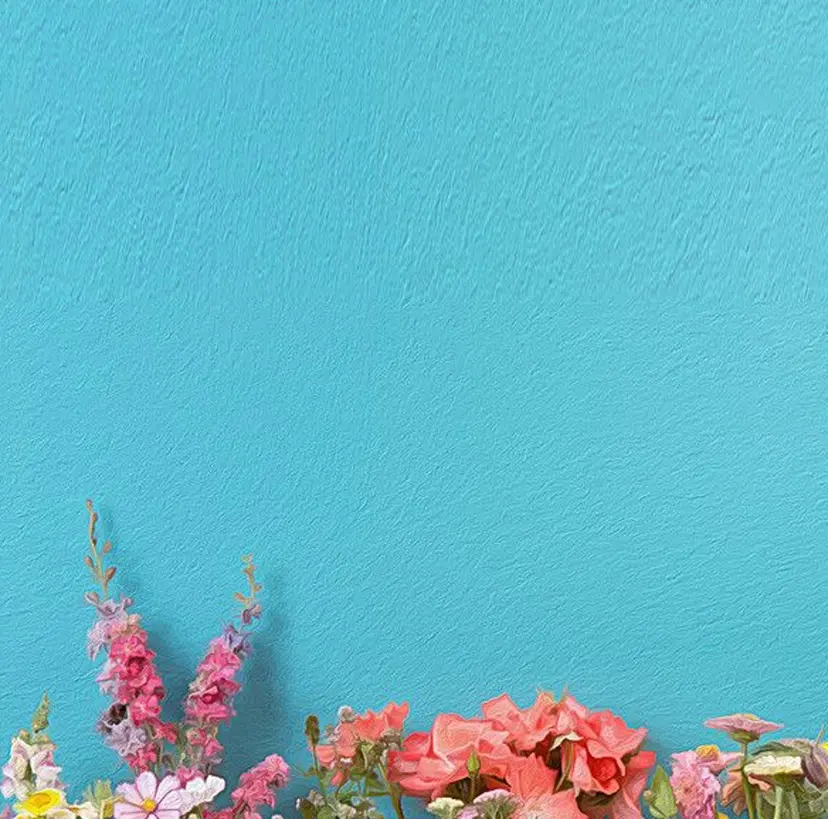 森 恵の掲載