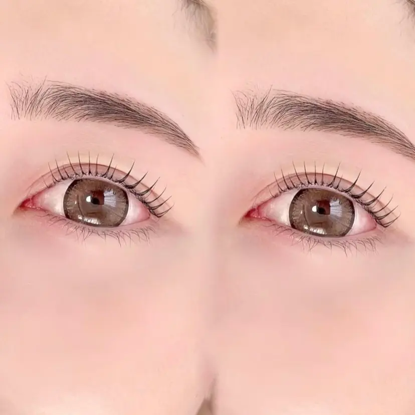 elua _rinの掲載