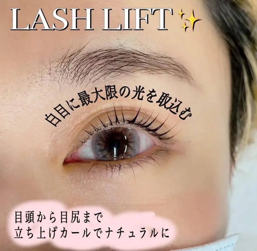 IVY salonの掲載