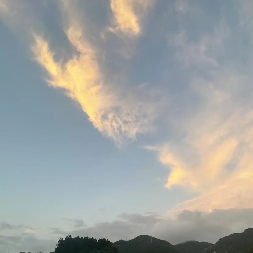 山﨑 梓沙の掲載