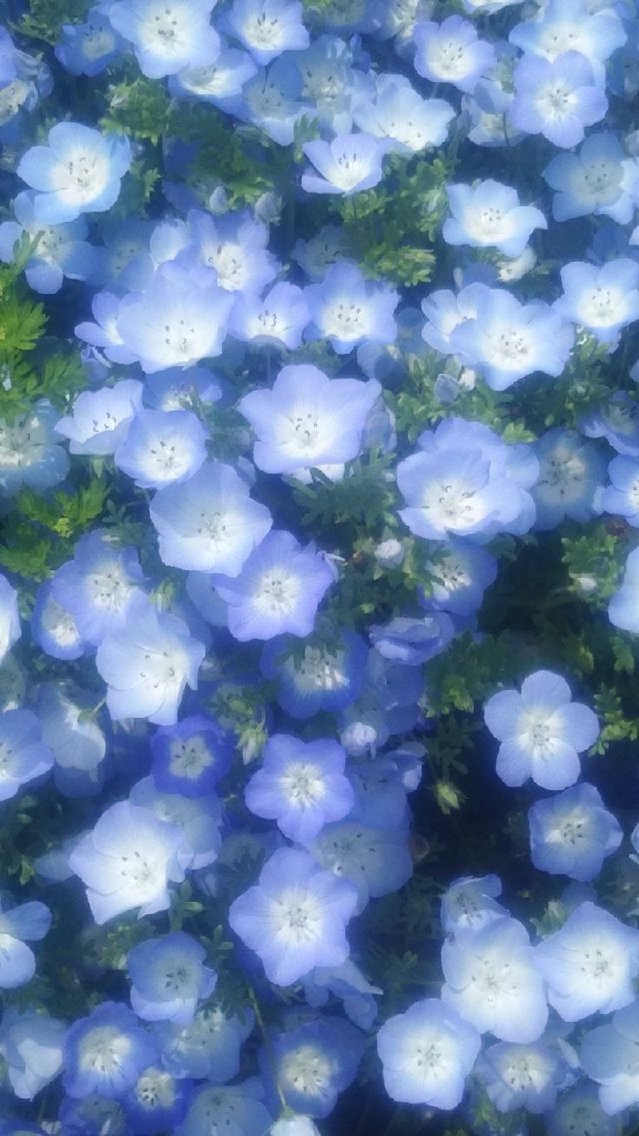 石川 莉名の掲載