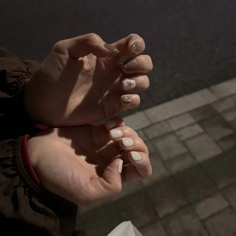 ⋆* noの掲載