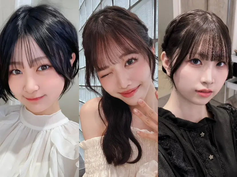 amunedat salonの掲載