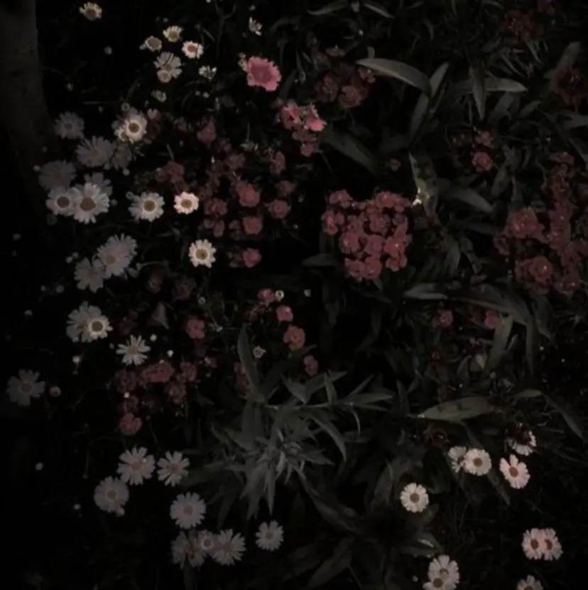 mikano 🌷.*の掲載