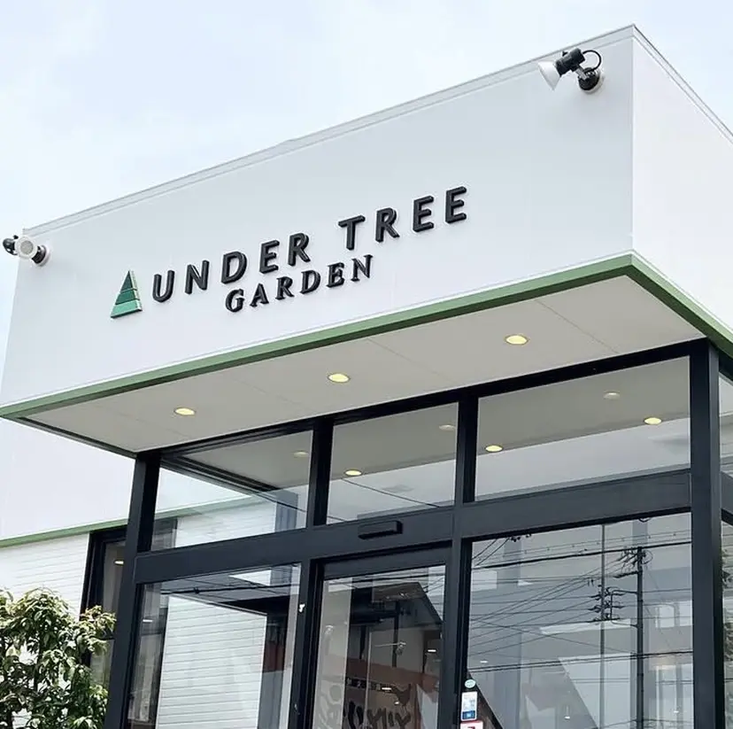 藤本音緒/UNDER TREEの掲載