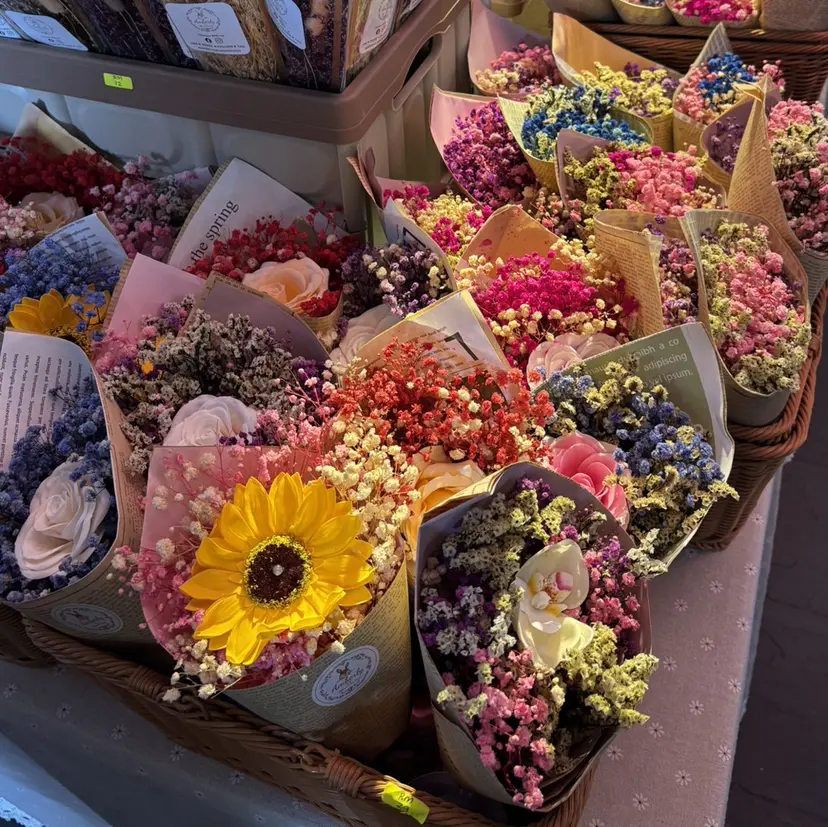 Fiara 明日雅の掲載
