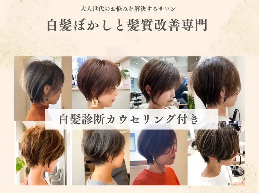 加原 ゆかりの掲載