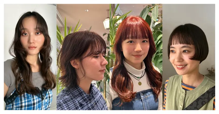 chico .の掲載