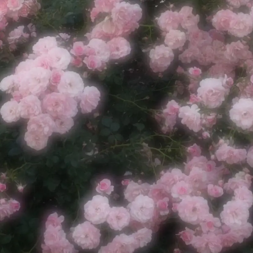 清水 姫葵の掲載