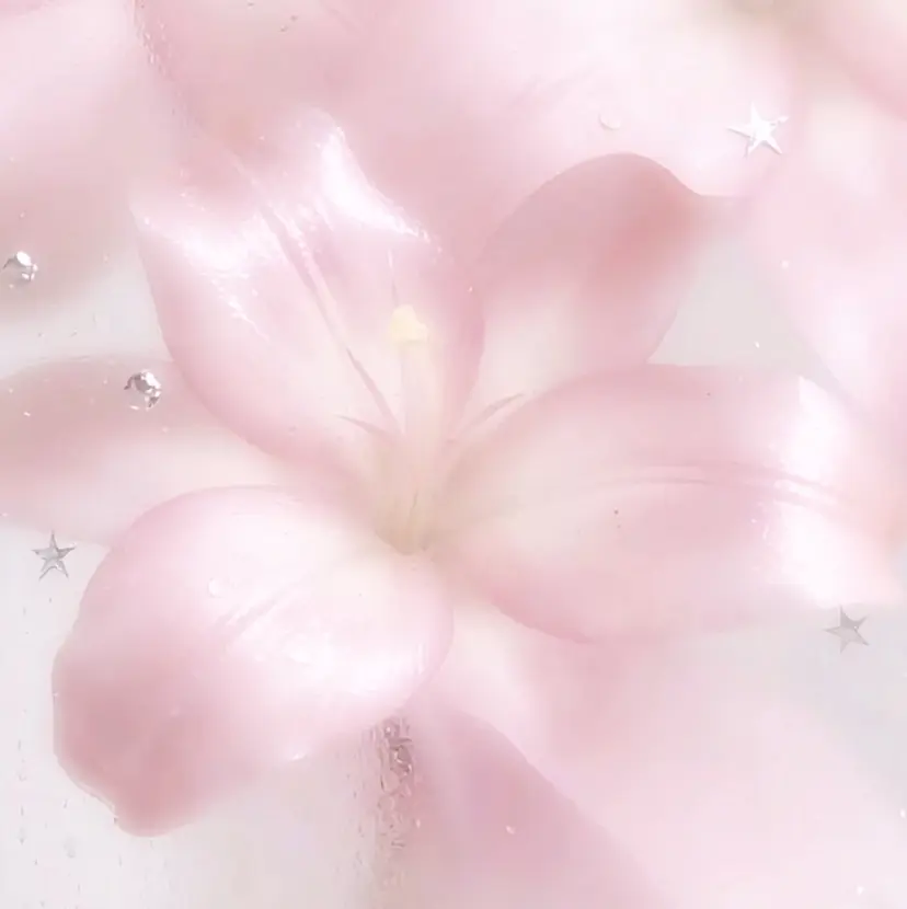 Bianca武蔵浦和 SUGIMOTO💝の掲載