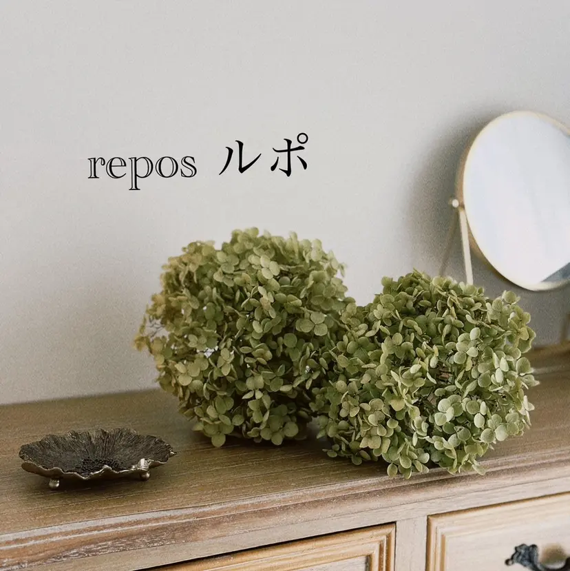 ドライヘッド/リンパ 🌿repos🌿の掲載