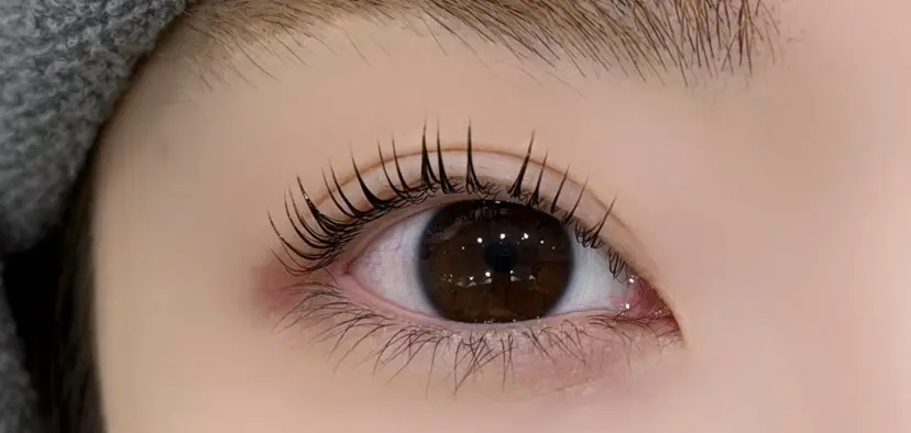 FOXY LASH hasegawaの掲載
