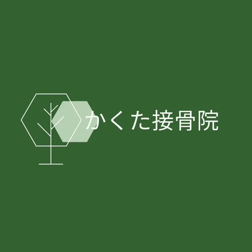 角田 宏介の掲載