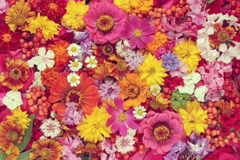 🌼modern せきぐち🌼の掲載