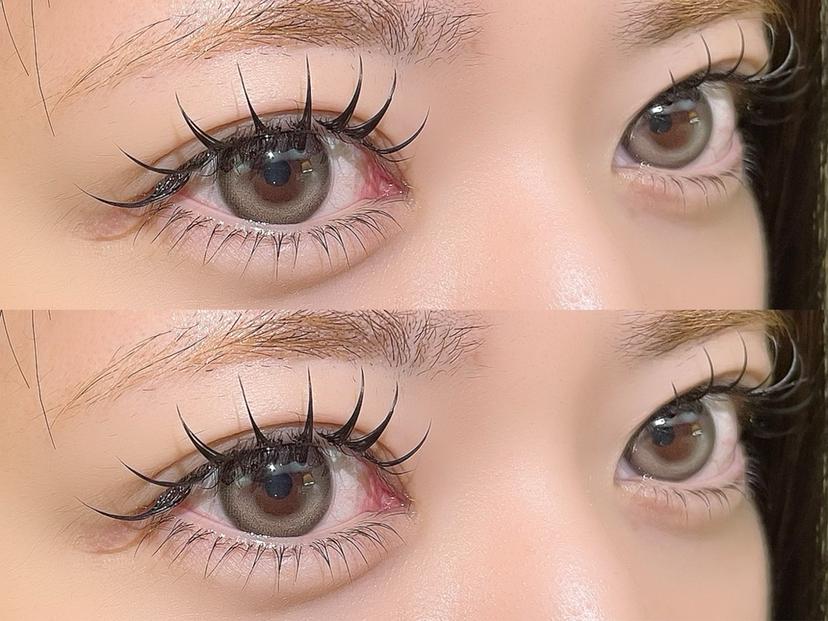 Salon EFの掲載