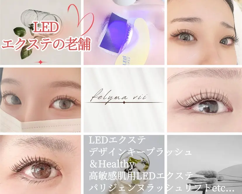 felyma viiの掲載