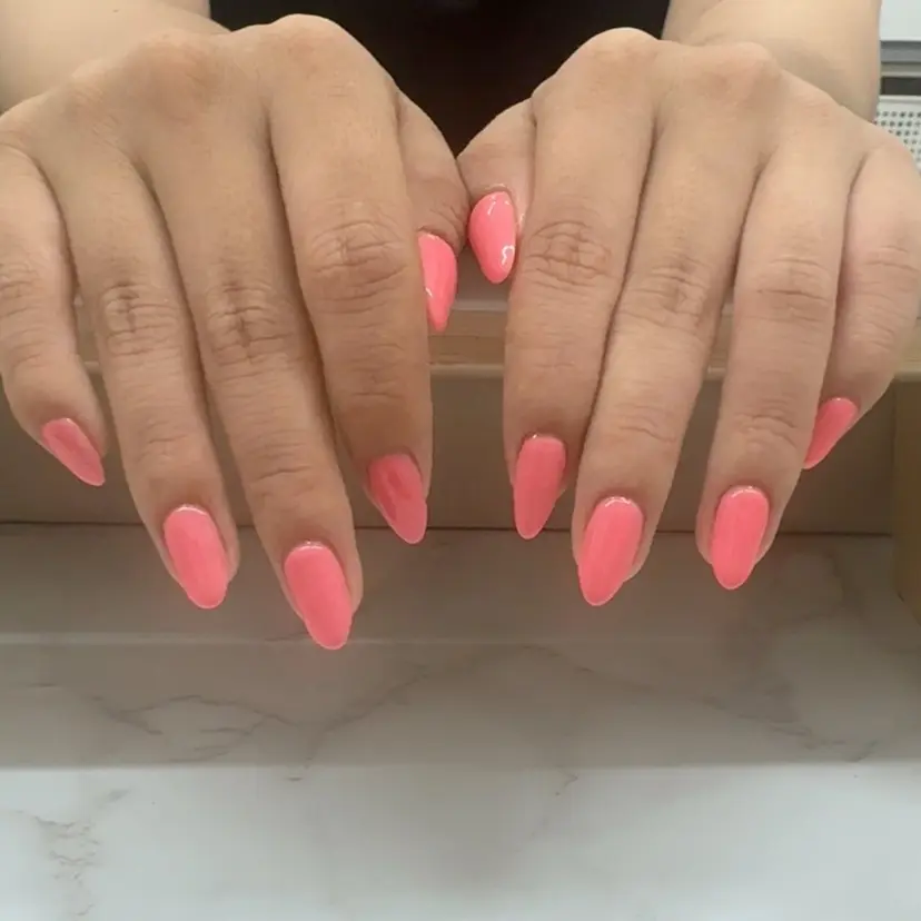 ル カの掲載