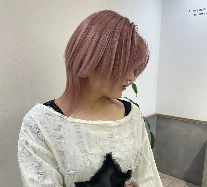 川村 諒の掲載