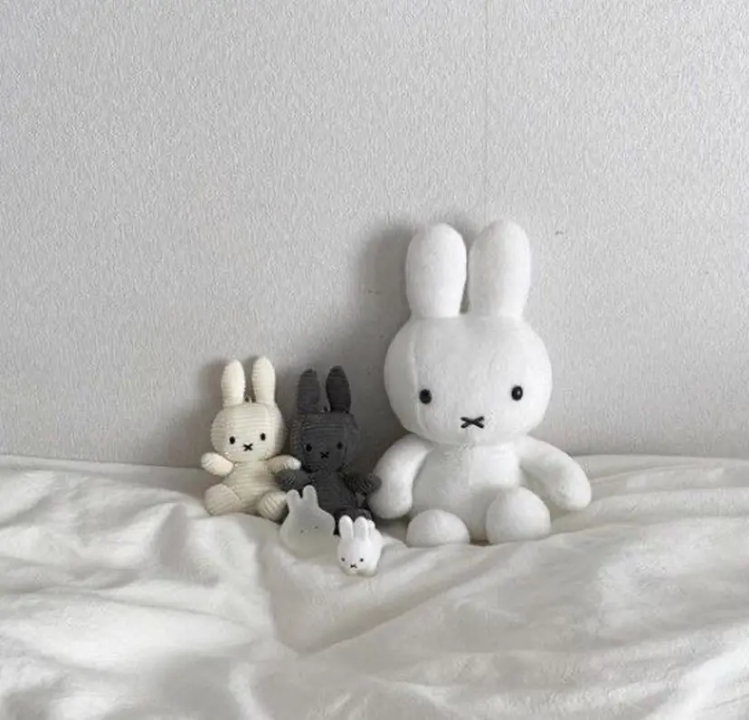 きし せいらの掲載