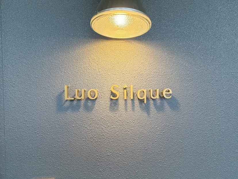 Luo Silque ★の掲載