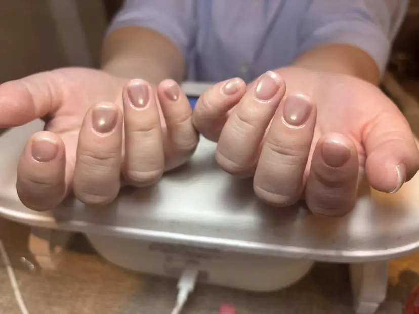 オ ンの掲載