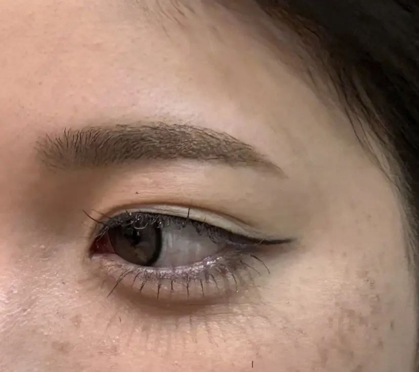 小幡 遥の掲載