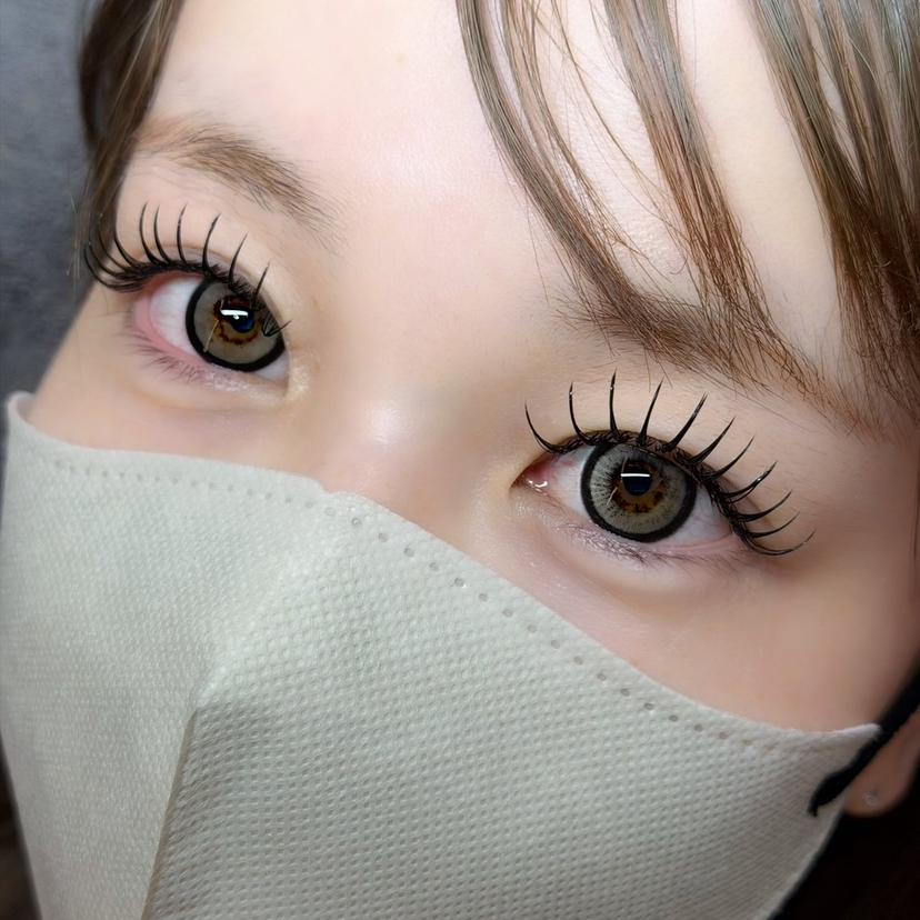 sakura .tの掲載