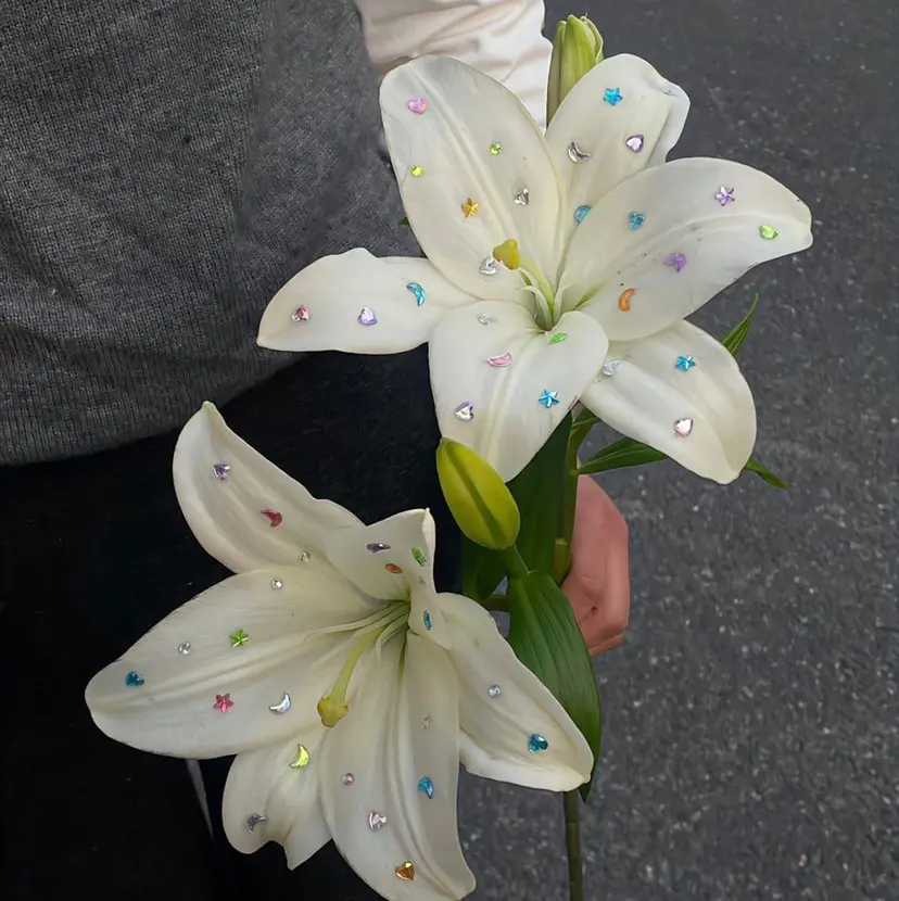 佃 風子の掲載