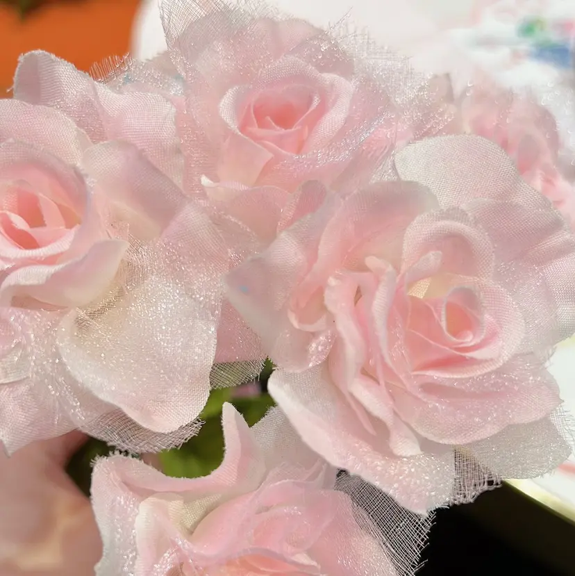 enju megumiの掲載