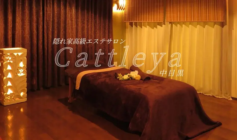 Cattleya 中目黒の掲載