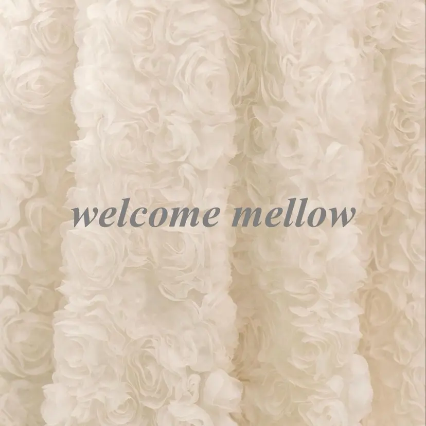 eyelash mellowの掲載