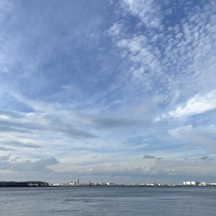 坂井 唯人の掲載