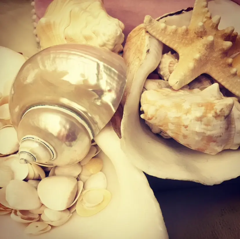 田畑 福恵の掲載