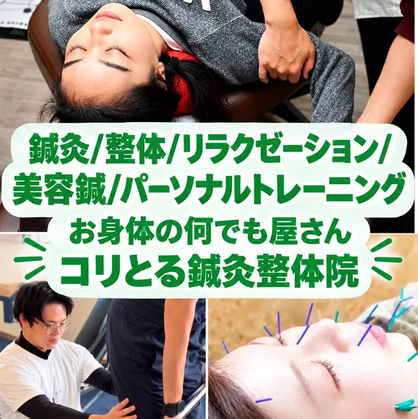 瀬谷 将城の掲載