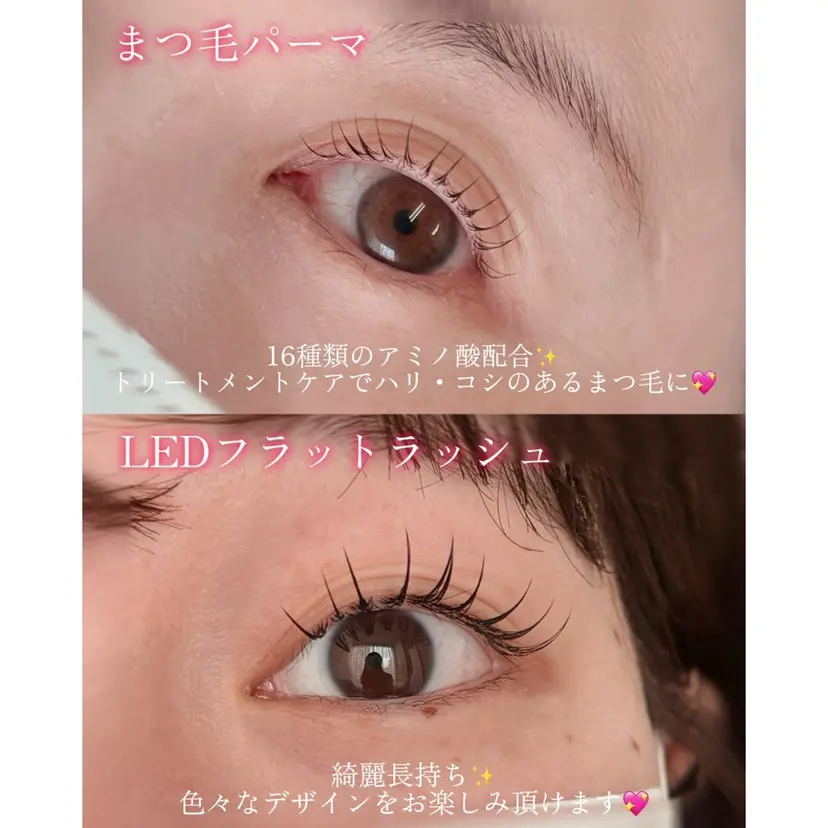 鈴木 澪菜の掲載